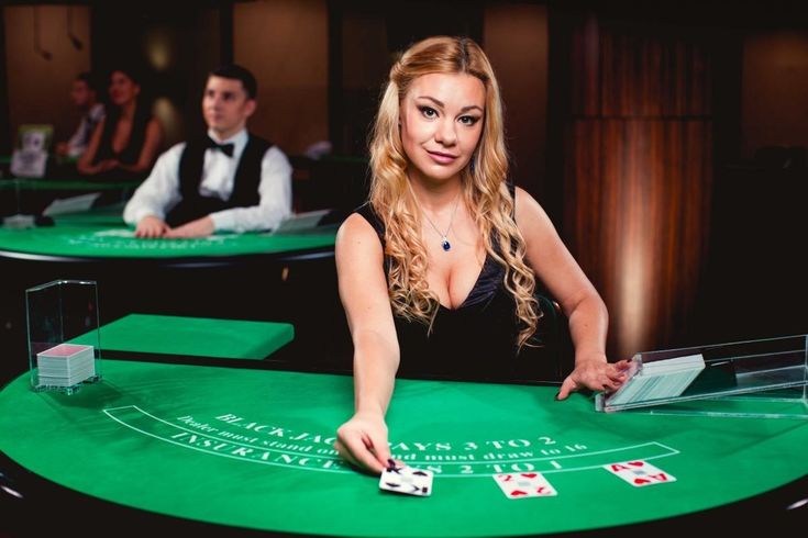 Springbok Casino Live Casino